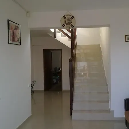 Vila Talisha בית הארחה קוסטינסטי
