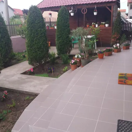 Vila Talisha בית הארחה קוסטינסטי