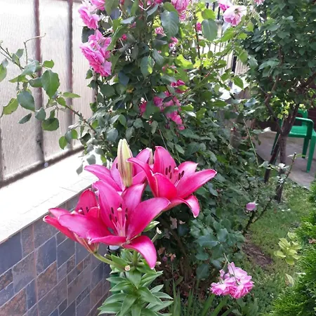 Vila Talisha *